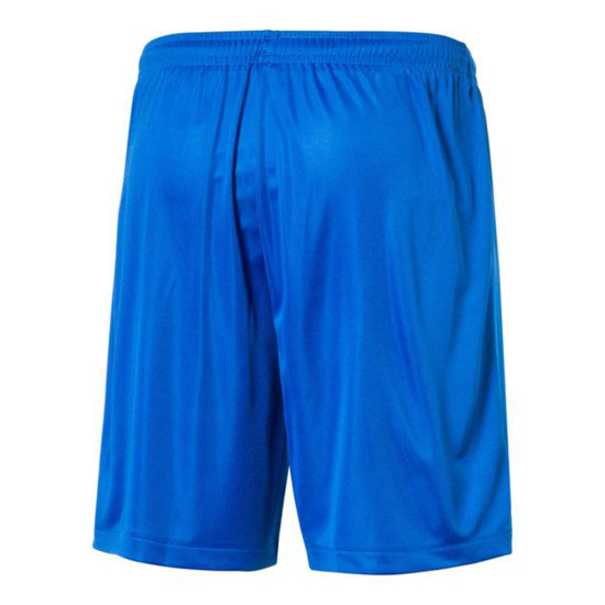 Puma Ανδρικό σορτς ποδοσφαίρου